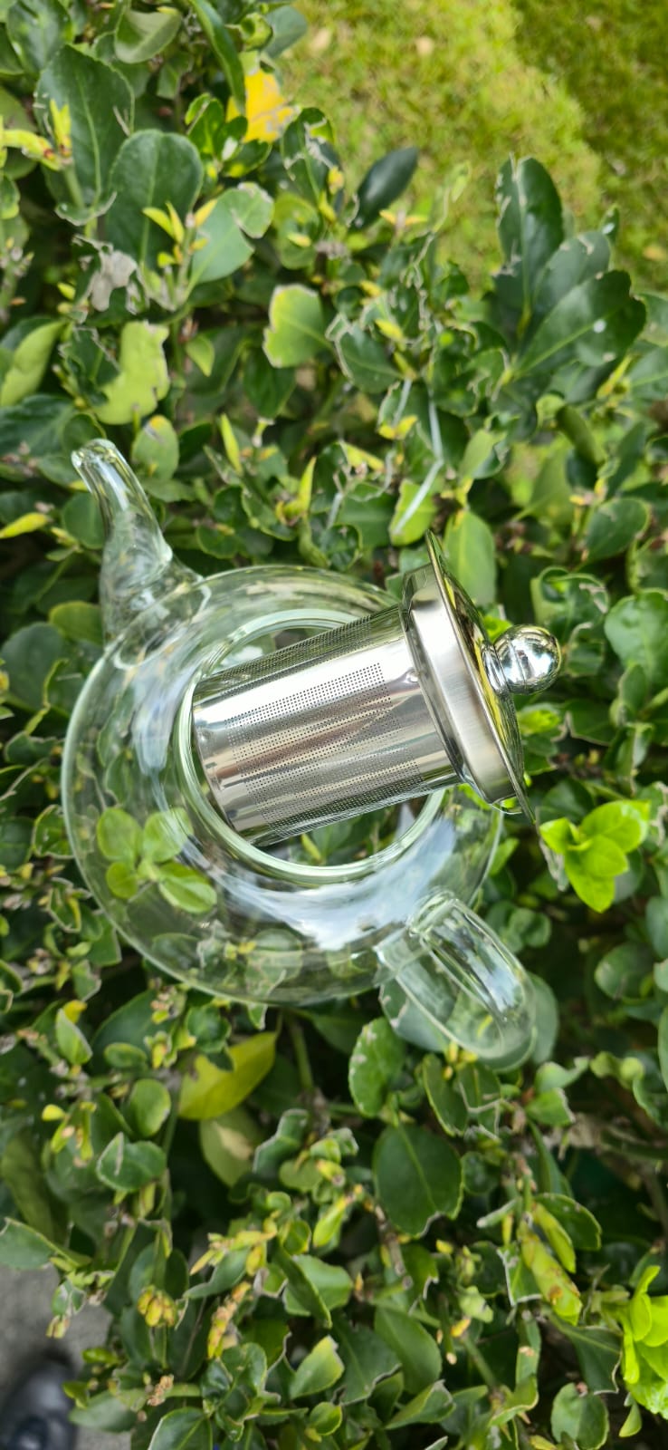 Teiera in vetro borosilicato